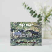 Wild West Colorado Funny Postkarte (Stehend Vorderseite)