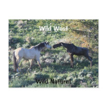 Wild West Wild Nature Funny Horse and Moose