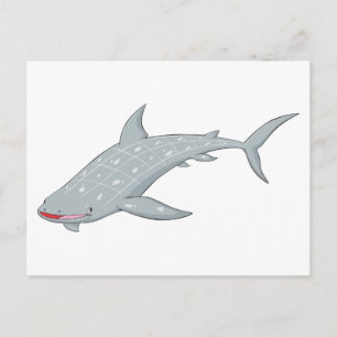Wild Whale Shark Postkarte