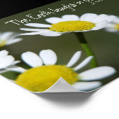 Wild White Daisies Poster (Ecke)