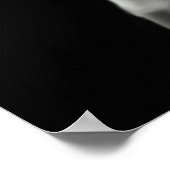 Wild White Horse Poster (Ecke)