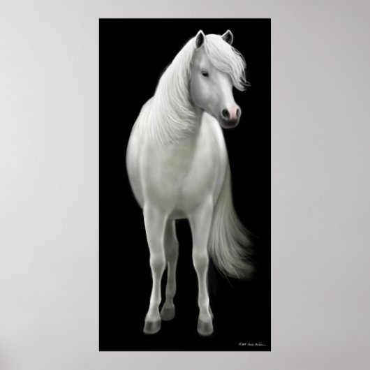 Wild White Horse Poster (Vorne)