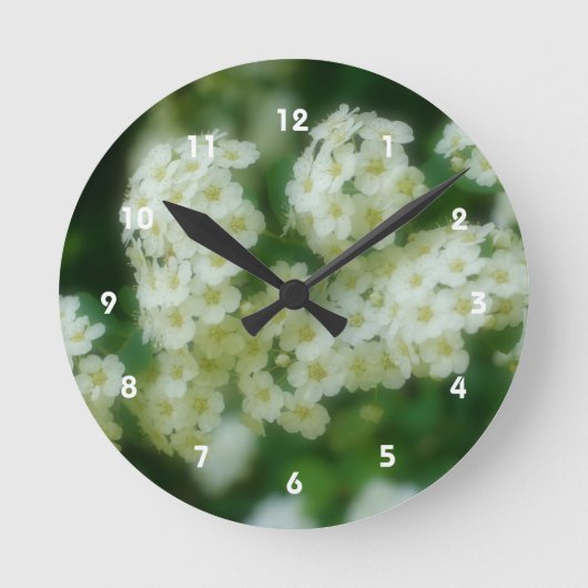 Wild White Rambling Roses Flower Runde Wanduhr (Vorderseite)