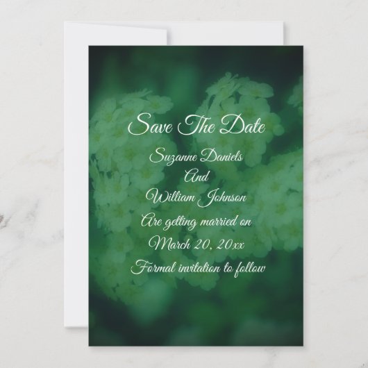 Wild White Roses Floral Wedding Save The Date (Vorderseite)