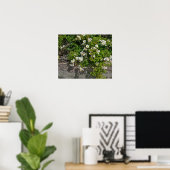 Wild-White Roses Poster am Strand (Heimbüro)