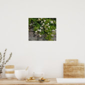 Wild-White Roses Poster am Strand (Küche)