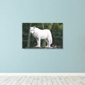 Wild White Wolf Leinwanddruck (Insitu (Holzboden))