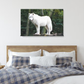 Wild White Wolf Leinwanddruck (Insitu (Schlafzimmer))