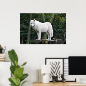 Wild White Wolf Poster (Heimbüro)
