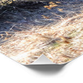 Wild-Winter-Coyote im Forest Shadows-Foto Poster (Ecke)