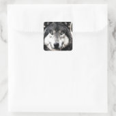 Wild Wolf Artwork Square Sticker (Tasche)