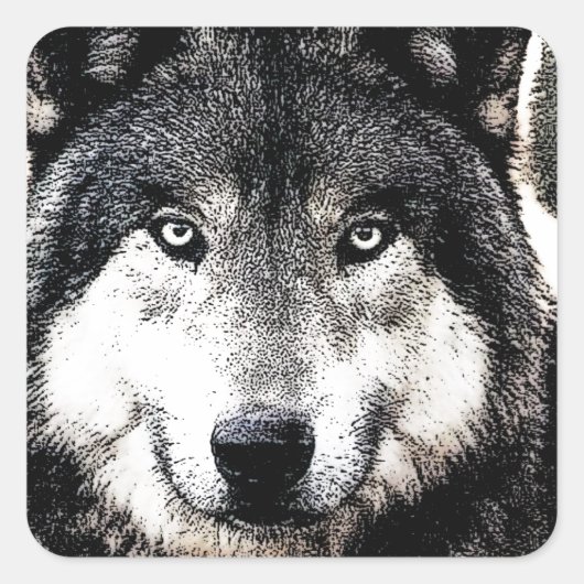 Wild Wolf Artwork Square Sticker (Vorderseite)