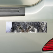 Wild Wolf Autoaufkleber (Auf Auto)