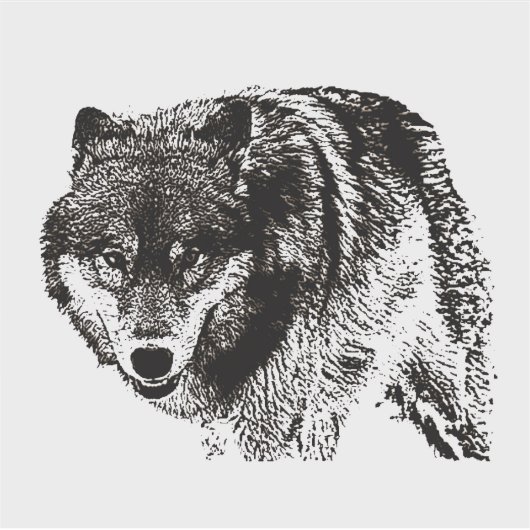Wild Wolf Black & White Artwork Aufkleber (Vorderseite)