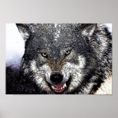 Wild Wolf Eyes Artwork Poster Print (Vorne)
