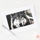 Wild Wolf Eyes Artwork Unique Rectangle Sticker (Umschlag)