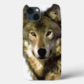 Wild Wolf Eyes Case-Mate iPhone Hülle (Rückseite)