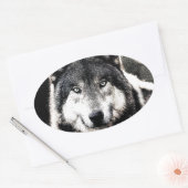 Wild Wolf Eyes Oval Sticker (Umschlag)