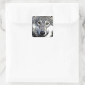 Wild Wolf Eyes Unique Artwork Quadratischer Aufkleber (Tasche)