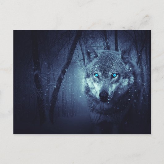 Wild Wolf mit schönen blauen Augen Postkarte (Vorderseite)