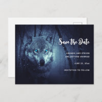 Wild Wolf mit schönen blauen Augen Save the Date