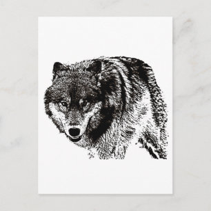 Wild Wolf Postkarte
