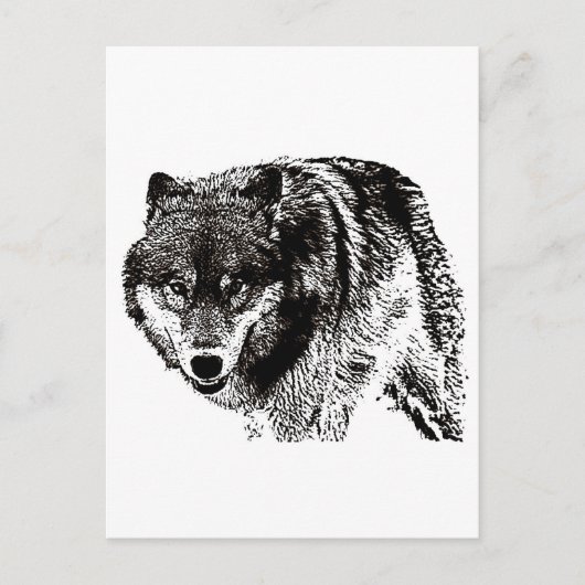 Wild Wolf Postkarte (Vorderseite)