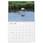 wild world of the Galapagos Kalender (Mär 2027)