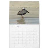wild world of the Galapagos Kalender (Jan 2027)