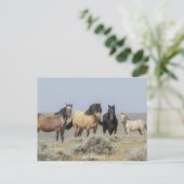 Wild Wyoming - Postkarte (Stehend Vorderseite)