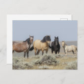 Wild Wyoming - Postkarte (Vorne/Hinten)