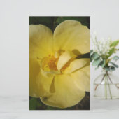 Wild Yellow Rose Briefpapier (Stehend Vorderseite)