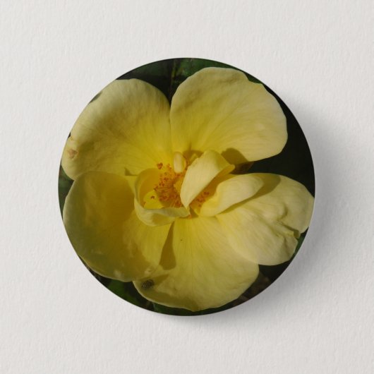 Wild Yellow Rose Button (Vorderseite)