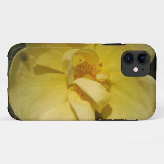Wild Yellow Rose Case-Mate iPhone Hülle (Rückseite (Horizontal))