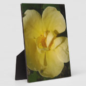 Wild Yellow Rose Fotoplatte (Seite)