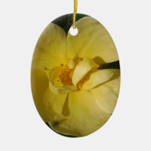 Wild Yellow Rose Keramikornament (Vorne)