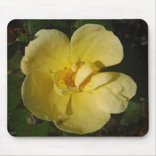 Wild Yellow Rose Mousepad