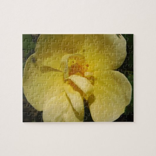 Wild Yellow Rose Puzzle (Horizontal)