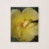 Wild Yellow Rose Puzzle (Vertikal)