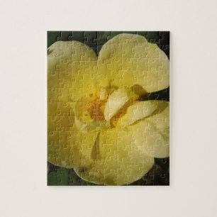 Wild Yellow Rose Puzzle