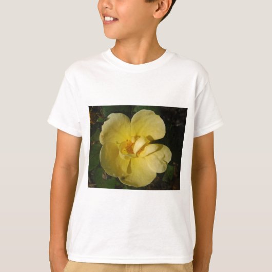 Wild Yellow Rose T-Shirt (Vorderseite)