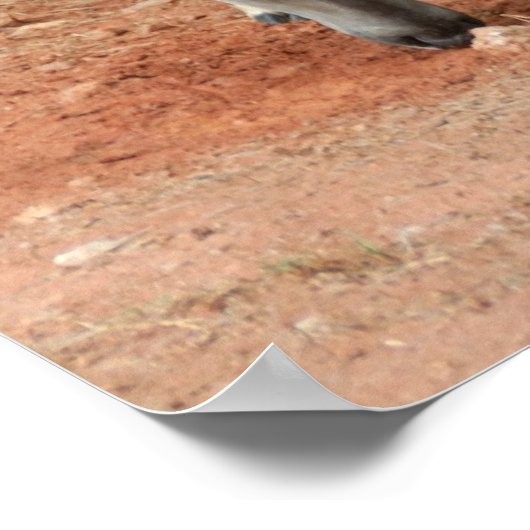 Wild Young Bucks Poster (Ecke)