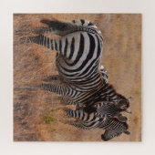 Wild Zebra auf afrikanisch Schlicht Puzzle (Horizontal)