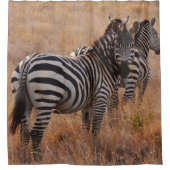 Wild Zebras Duschvorhang (Vorderseite)