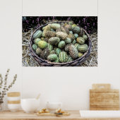 Wildafrikanischer Gurken Poster (Küche)