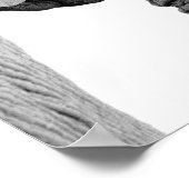 Wildafrikanisches Foto Poster (Ecke)