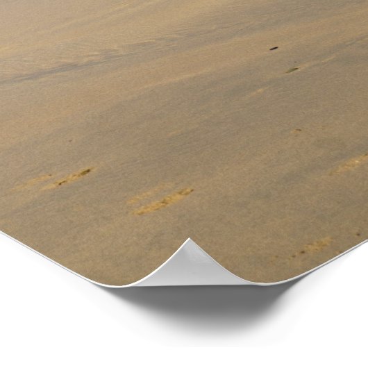 Wildatlantik Poster (Ecke)