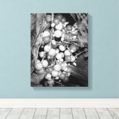 Wildbeeren schwarz und weiß leinwanddruck (Insitu (Holzboden))