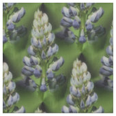 Wildblauer Lupine Blume Naturmuster Stoff (Nahaufnahme)