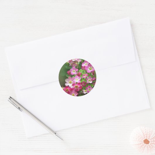 WILDBLUME 1 RUNDER AUFKLEBER (Umschlag)